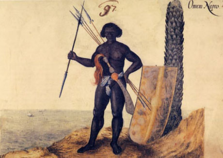 Guinea kriger (University of Virginia)