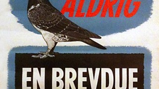 Plaket med opfordring til ikke at skyde på brevduer