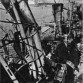 Eksplosionen i Flensborg 14. juni 1945