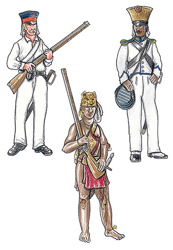 Danske kolonistyrker, Guinea