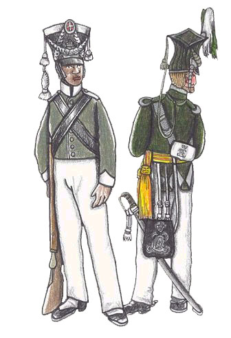 Den danske milits i Vestindien, 1829/1842